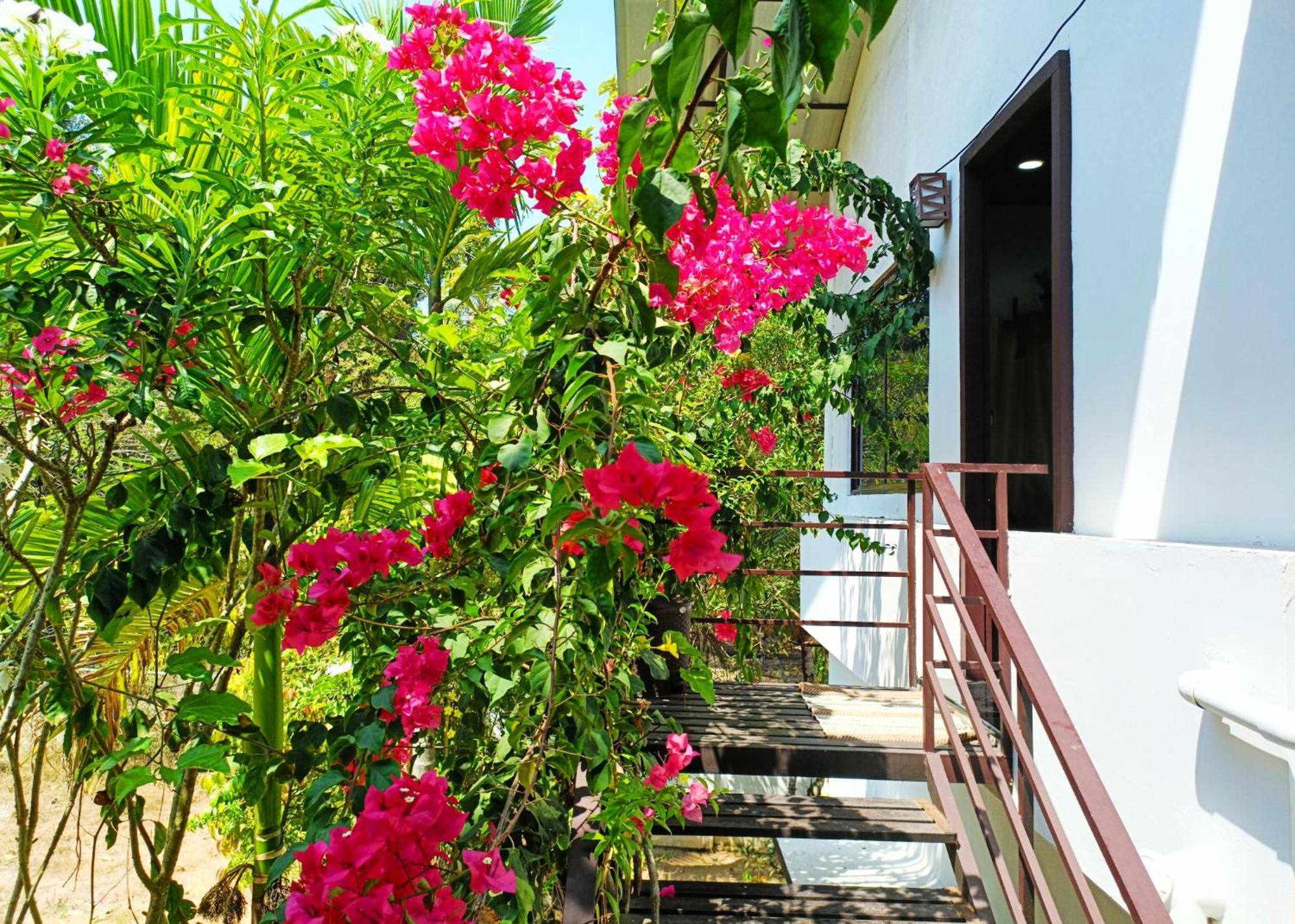 מאראריקולם Alma Homestay מראה חיצוני תמונה